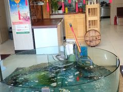 -屯靠屯地锅王(西南路店)