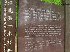 -日照海滨国家森林公园