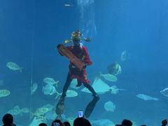 -烟台海昌鲸鲨海洋公园