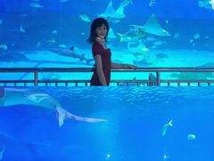 -烟台海昌鲸鲨海洋公园