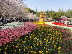 -苏州上方山国家森林公园