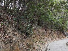 -火炉山森林公园
