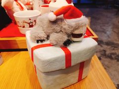 -星巴克臻选(成都九方店)