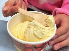 香草单球-哈根达斯(南京德基广场店)