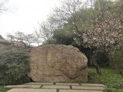 -中国茶叶博物馆(双峰馆区)