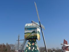 -荷兰花海