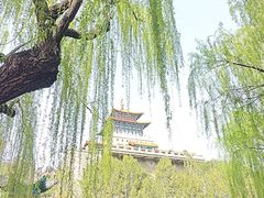 -解放阁