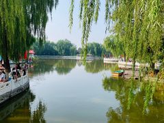-丰台花园