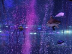 -沈阳海洋探索中心