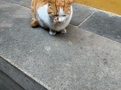 -灵顺寺