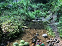 -石台牯牛降景区