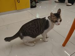 -谜盒子奇幻密室(南屏店)