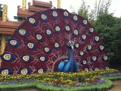 -云南民族大观园