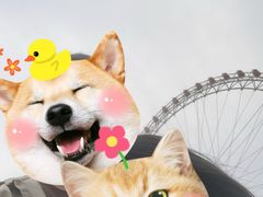 -天津之眼摩天轮