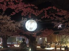 -蓝鲸湾汤泉(包河店)