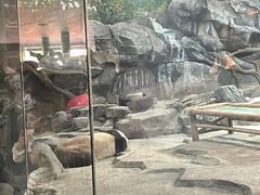 -武汉动物园