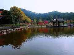 -黄陂区野村谷景区