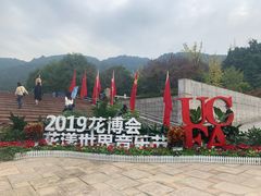 -铁山坪森林公园