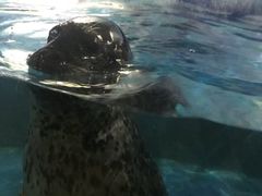-常州海昌海洋探索馆