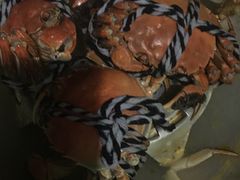 -丫丫蟹庄·苏式园林农家乐·阳澄湖大闸蟹(阳澄湖莲花岛店)