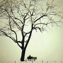 -梵梦影像馆(绿博园店)