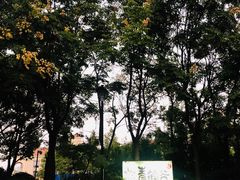 -青鹤谷(苏州店)