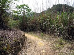 -千岛湖龙川湾