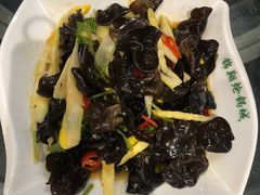 野生木耳-清真·锦翔炝锅鱼(明德门店)