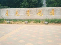 -星光影视园