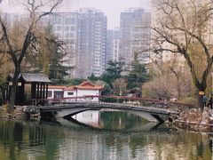 -西苑公园