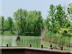 -泗洪洪泽湖湿地景区