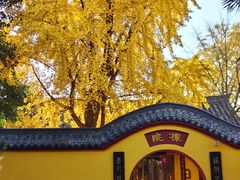 -云龙山