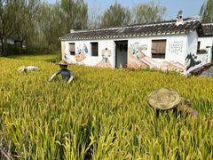 -溱湖国家湿地公园