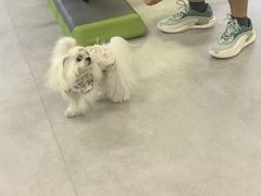 -琪航健身工作室(徐汇光大店)