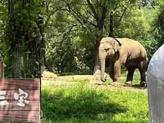 -北京野生动物园