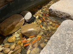 -邈墨茶馆(凤起路店)