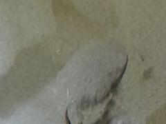 -八八餐厅(升州路店)