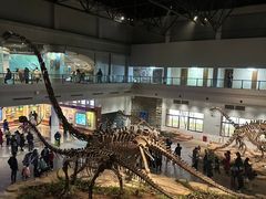 -自贡恐龙博物馆