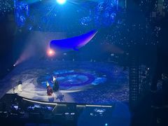 -杭州奥体中心-体育场