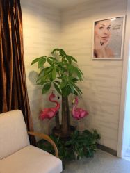 -西美医疗美容门诊部