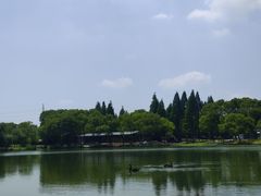 -新洲生态园