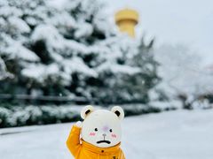-漫香咖啡·云南小粒咖啡