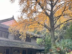 -伯先公园
