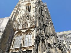 -斯蒂芬主教座堂(Stephansdom)