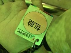 -幻彩摩天轮