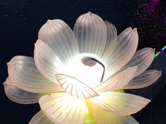 -普陀山慧济禅寺