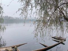 -洋湖国家湿地公园
