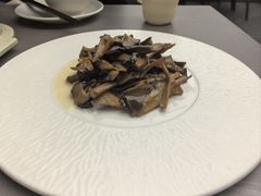 -芙蓉凰花园酒楼