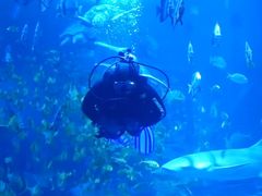 -太平洋海底世界