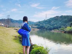 -风云岭森林公园